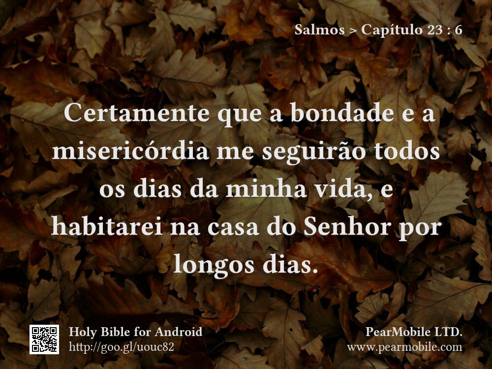 Salmos, Capítulo 23:6